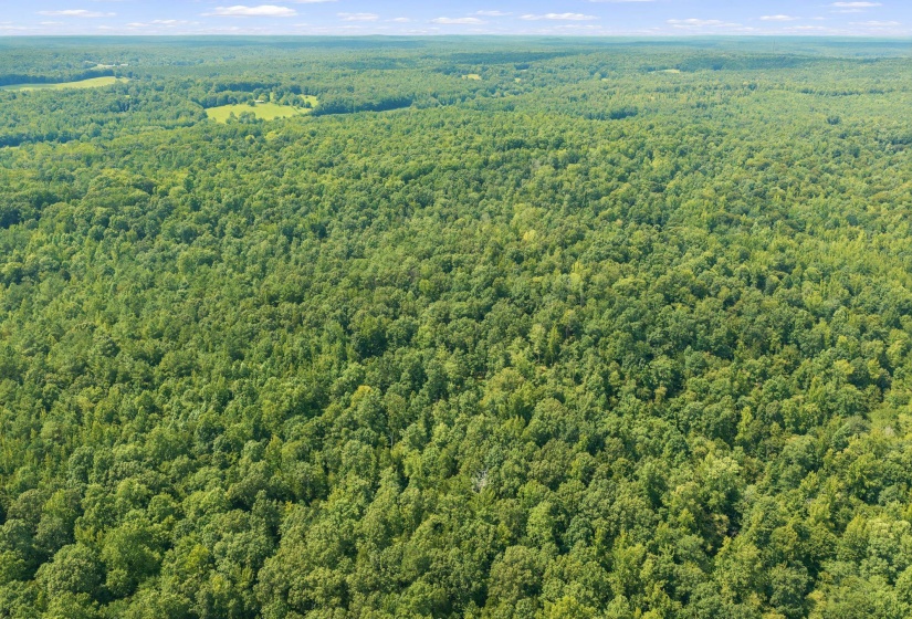 00 HOLLADAY RD, Parsons, Tennessee 38363, 0 , 0 ,0,Land,For Sale,HOLLADAY,0,10212491