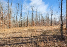 00 HOLLADAY RD, Parsons, Tennessee 38363, ,Land,For Sale,HOLLADAY,10212491