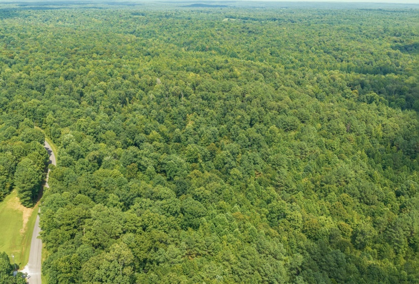 00 HOLLADAY RD, Parsons, Tennessee 38363, 0 , 0 ,0,Land,For Sale,HOLLADAY,0,10212491