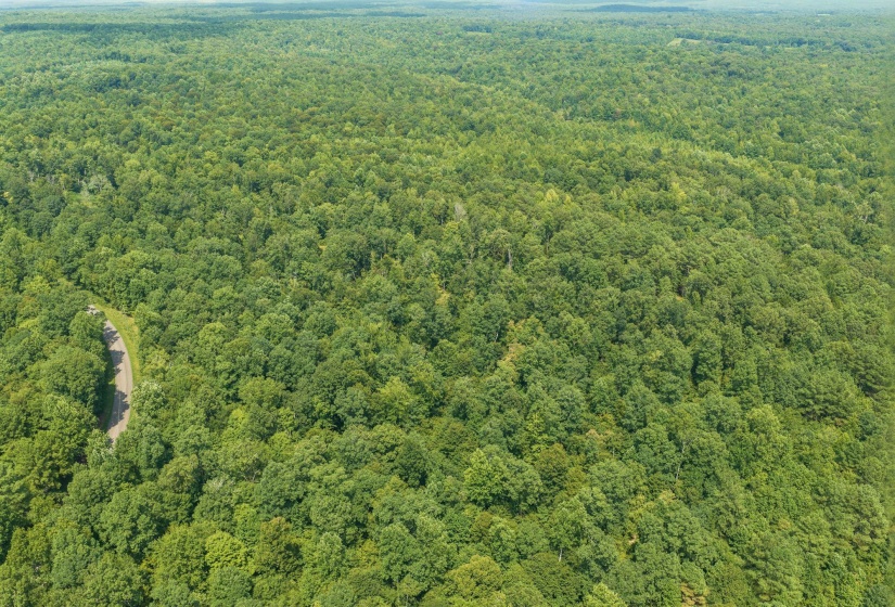 00 HOLLADAY RD, Parsons, Tennessee 38363, 0 , 0 ,0,Land,For Sale,HOLLADAY,0,10212491