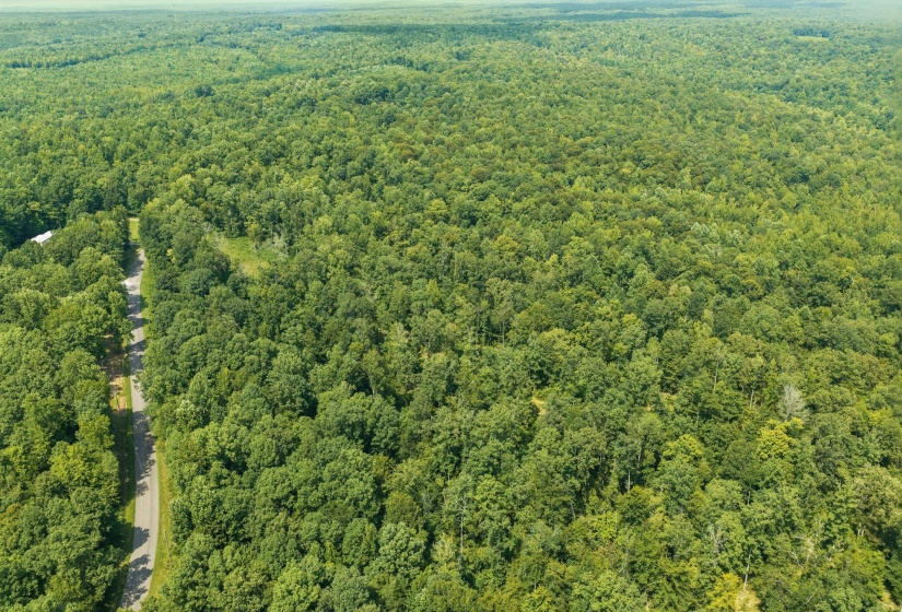 00 HOLLADAY RD, Parsons, Tennessee 38363, 0 , 0 ,0,Land,For Sale,HOLLADAY,0,10212491