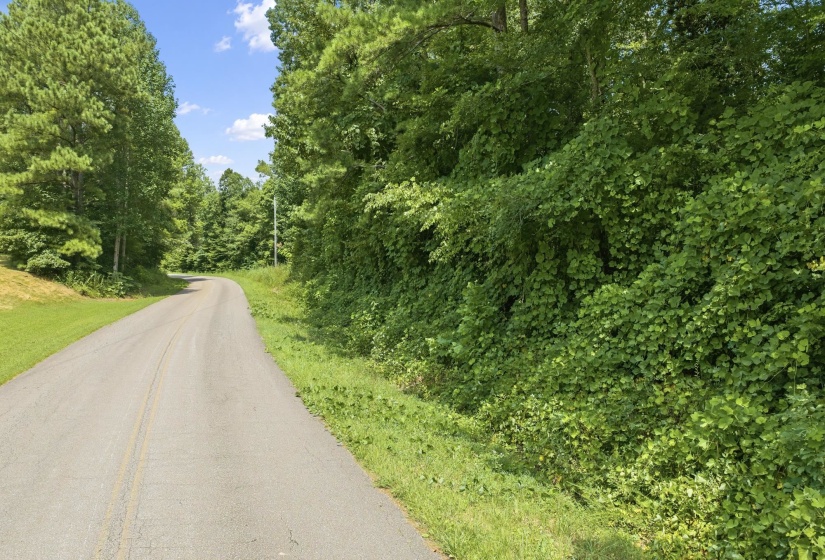 00 HOLLADAY RD, Parsons, Tennessee 38363, 0 , 0 ,0,Land,For Sale,HOLLADAY,0,10212491
