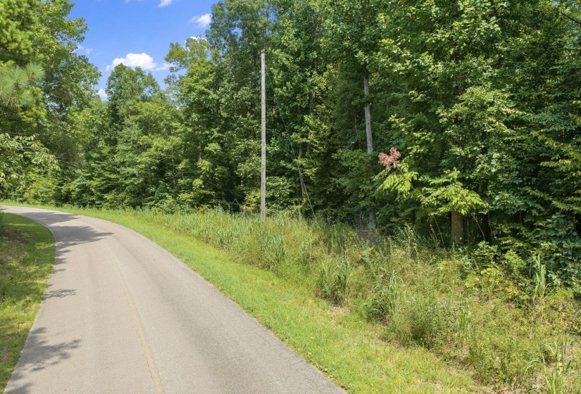 00 HOLLADAY RD, Parsons, Tennessee 38363, 0 , 0 ,0,Land,For Sale,HOLLADAY,0,10212491