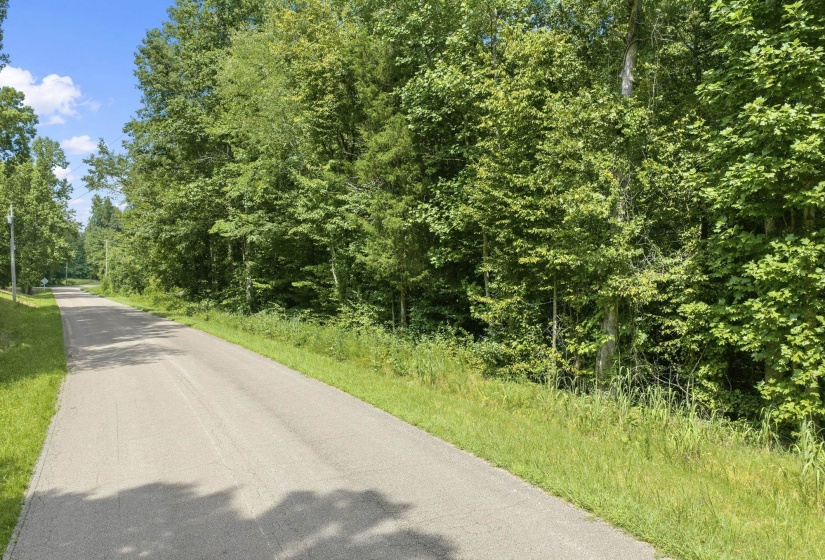 00 HOLLADAY RD, Parsons, Tennessee 38363, 0 , 0 ,0,Land,For Sale,HOLLADAY,0,10212491