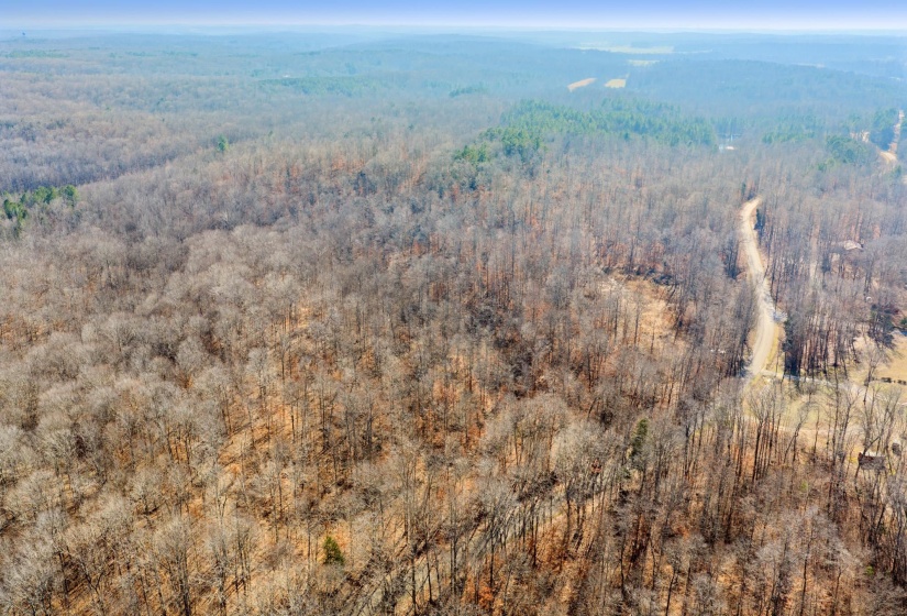 Aerial view of a heavily wooded area