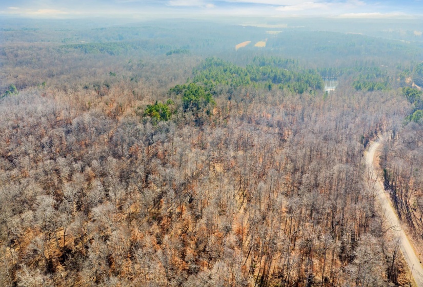 Drone / aerial view of a heavily wooded area