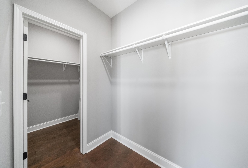 Spacious closet with dark wood finished floors