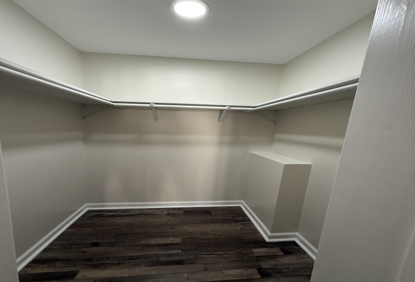 Spacious closet with dark wood-style floors