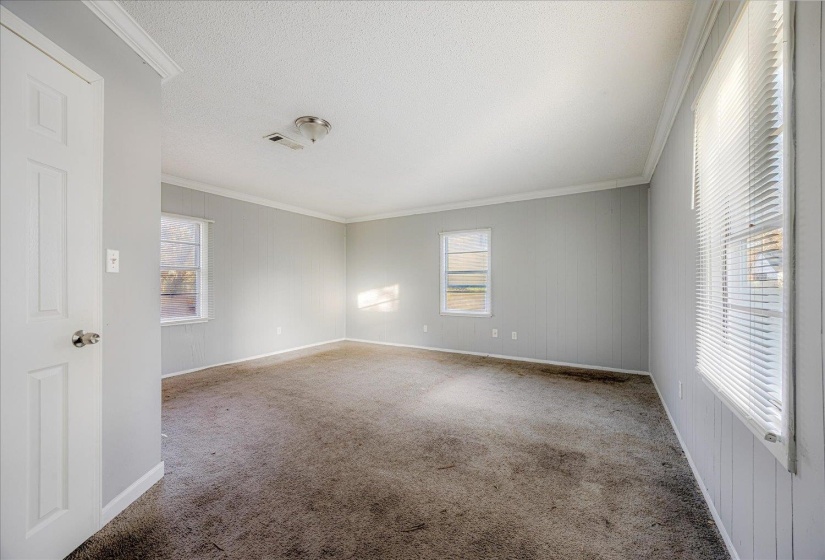 Unfurnished room with crown molding, carpet floors, a textured ceiling, and wood walls