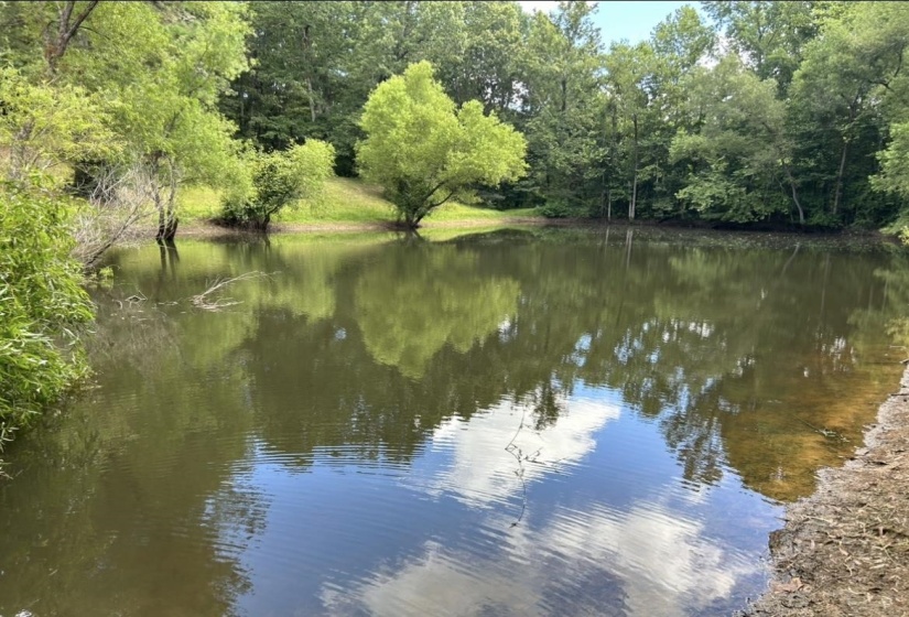 645 BARHAM LN, Bolivar, Tennessee 38008-3516, 4 Bedrooms Bedrooms, 20 Rooms Rooms,3.1 BathroomsBathrooms,Residential,For Sale,BARHAM,10212622