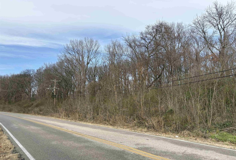 View of asphalt road with a wooded view