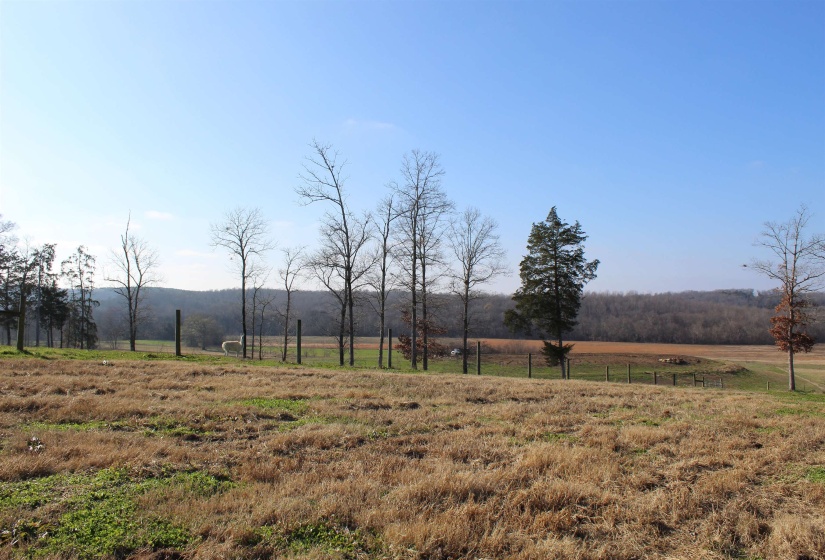 View of yard with a rural view