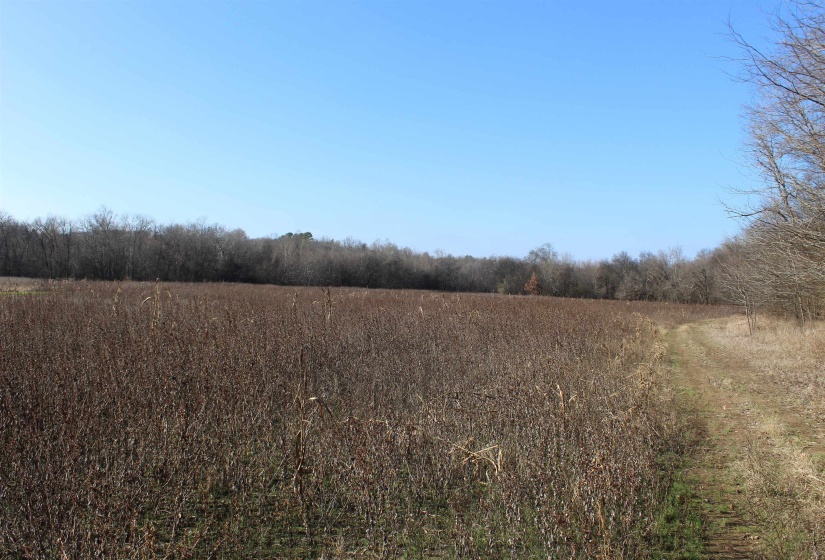 View of local wilderness with rural landscape