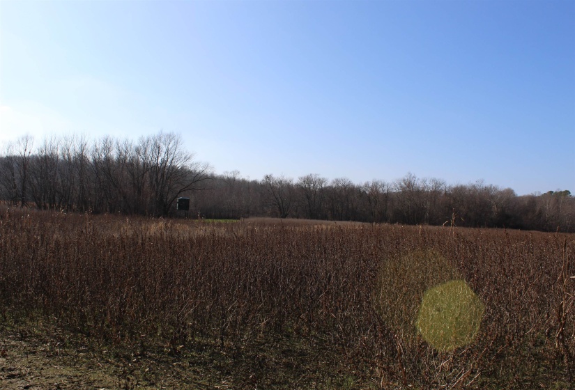 View of wooded area with a rural view