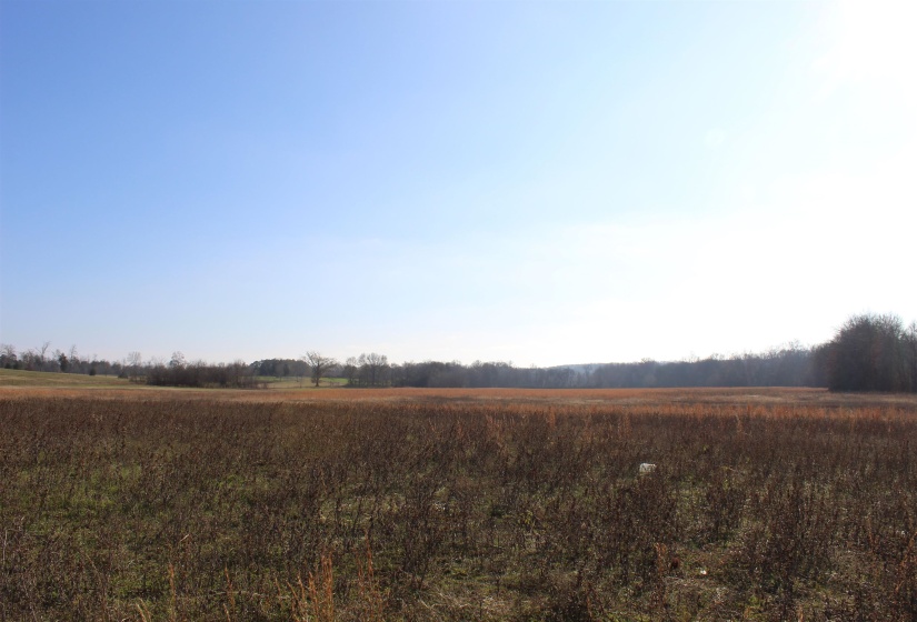 View of nature with rural landscape
