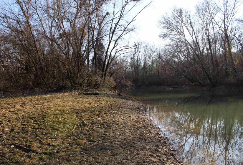 Water view featuring a forest