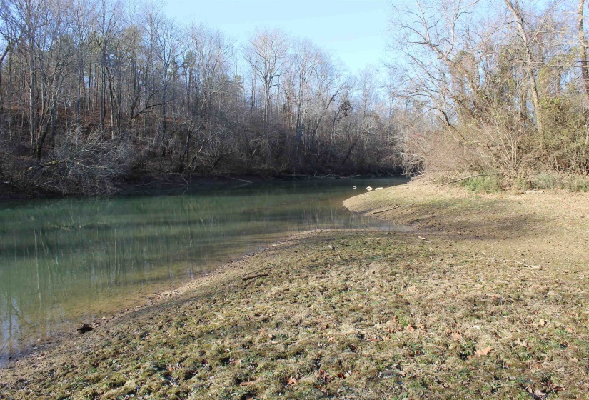 View of yard featuring a view of trees and a water view