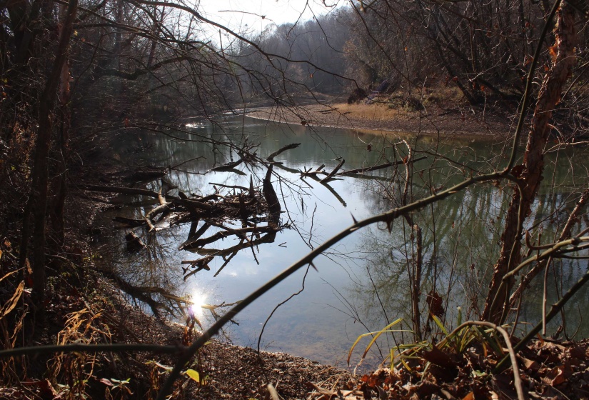 Water view featuring a heavily wooded area