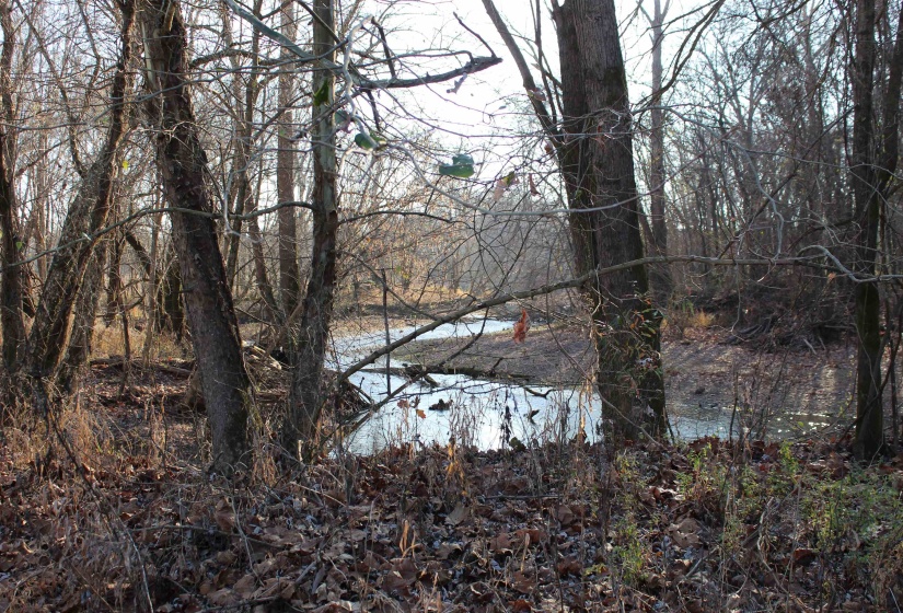 Water view