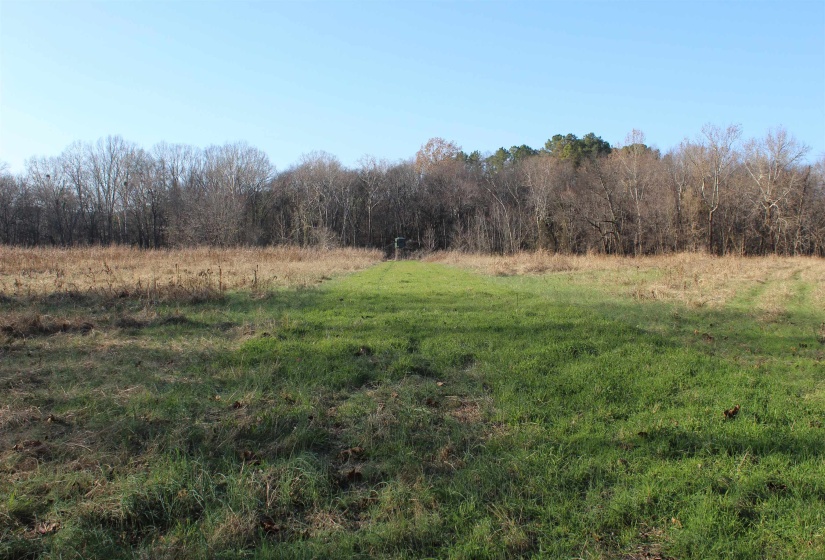 View of wooded area featuring a view of countryside