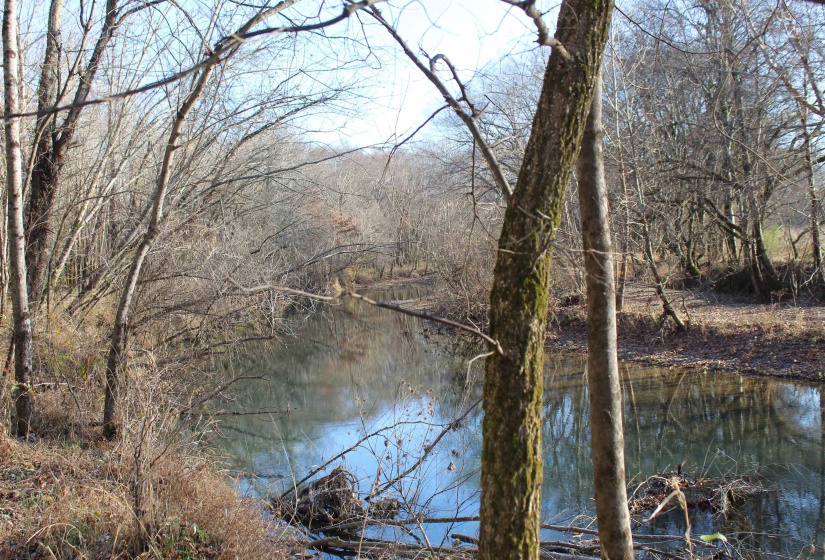 Water view featuring a heavily wooded area