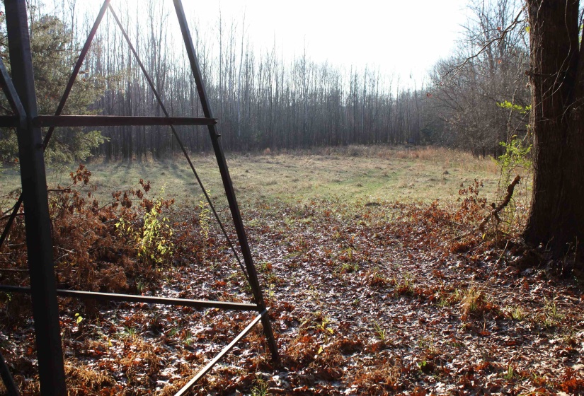 View of yard featuring a forest view