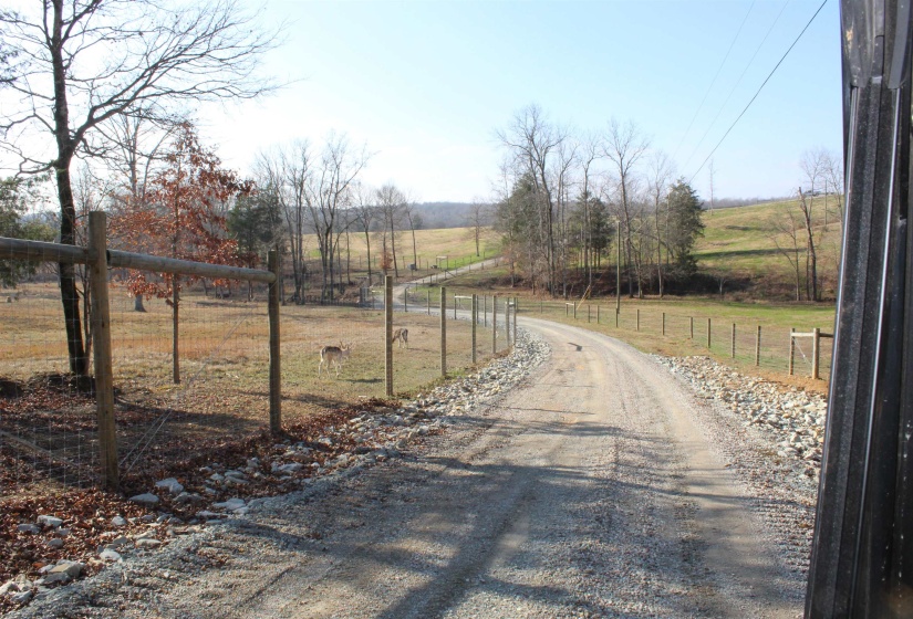 View of road featuring a view of rural / pastoral area