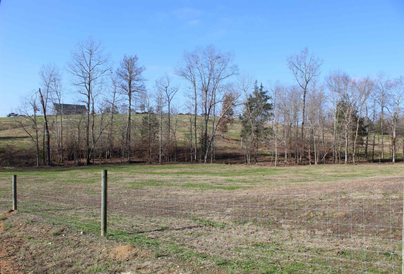 View of grassy yard