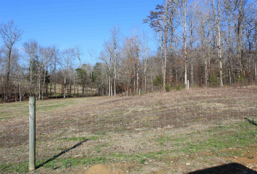 View of yard with a wooded view