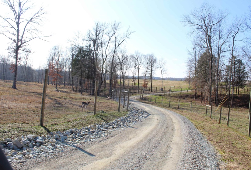 View of dirt / gravel road with a view of rural / pastoral area