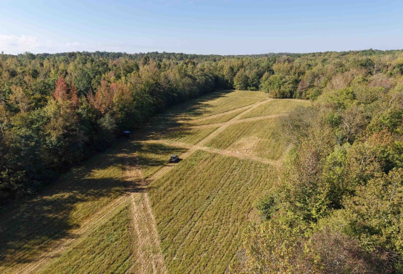 000 BURGESS LOOP RD, Middleton, Tennessee 38052, ,Land,For Sale,BURGESS LOOP,10212654
