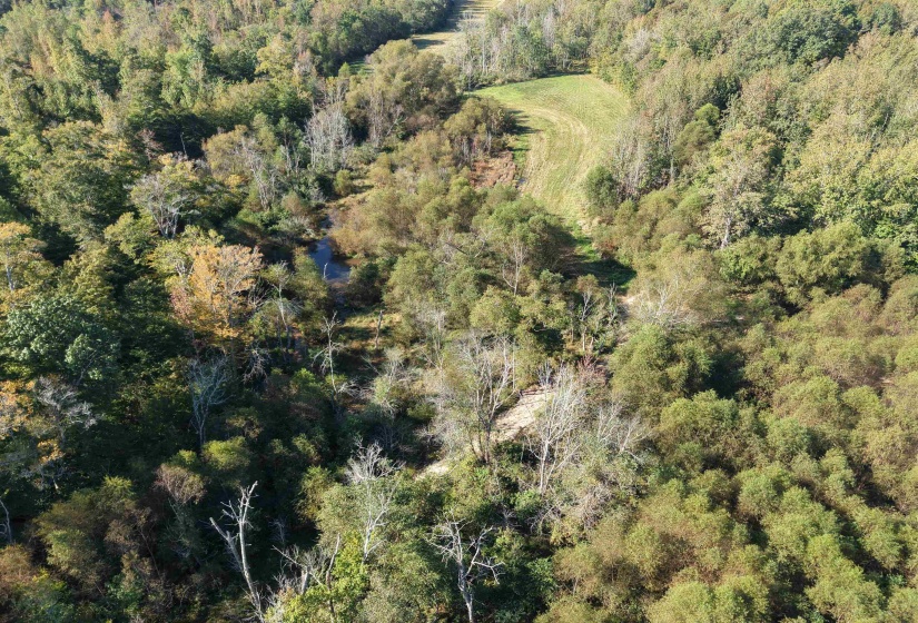 000 BURGESS LOOP RD, Middleton, Tennessee 38052, ,Land,For Sale,BURGESS LOOP,10212654