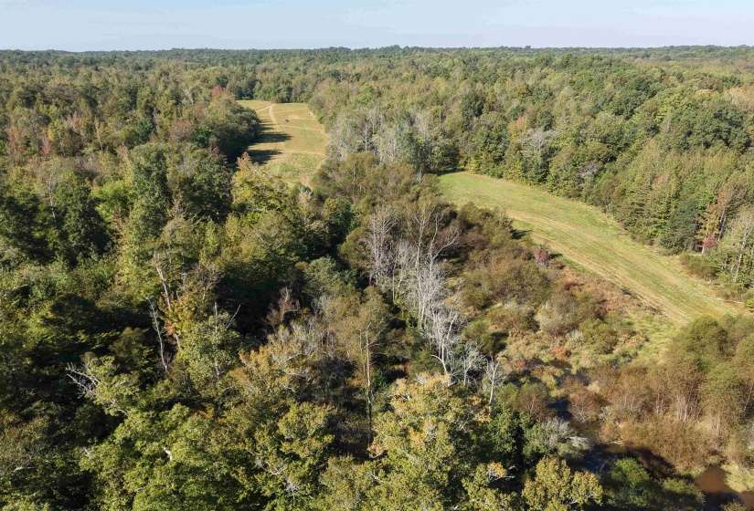 000 BURGESS LOOP RD, Middleton, Tennessee 38052, ,Land,For Sale,BURGESS LOOP,10212654
