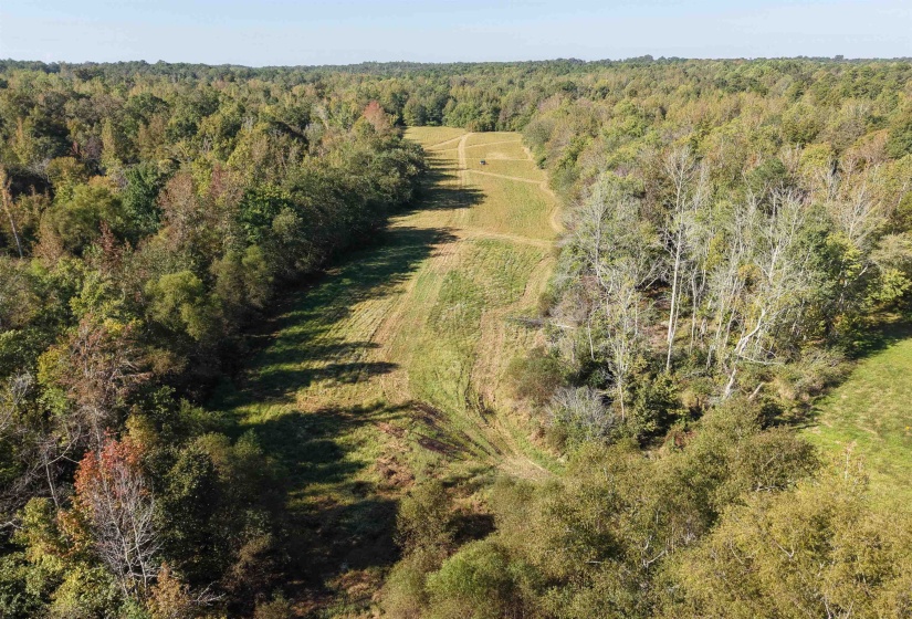 000 BURGESS LOOP RD, Middleton, Tennessee 38052, ,Land,For Sale,BURGESS LOOP,10212654