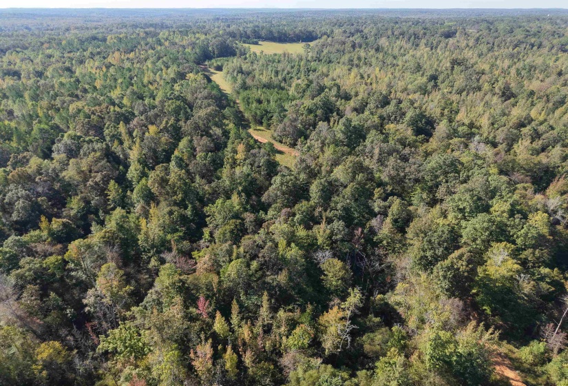 000 BURGESS LOOP RD, Middleton, Tennessee 38052, ,Land,For Sale,BURGESS LOOP,10212654