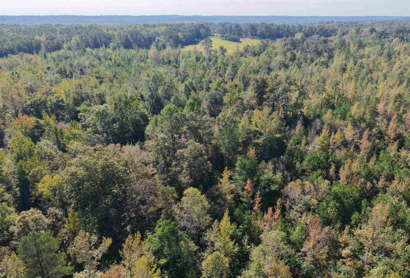 000 BURGESS LOOP RD, Middleton, Tennessee 38052, ,Land,For Sale,BURGESS LOOP,10212654