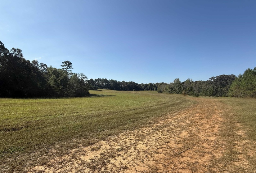 000 BURGESS LOOP RD, Middleton, Tennessee 38052, ,Land,For Sale,BURGESS LOOP,10212654