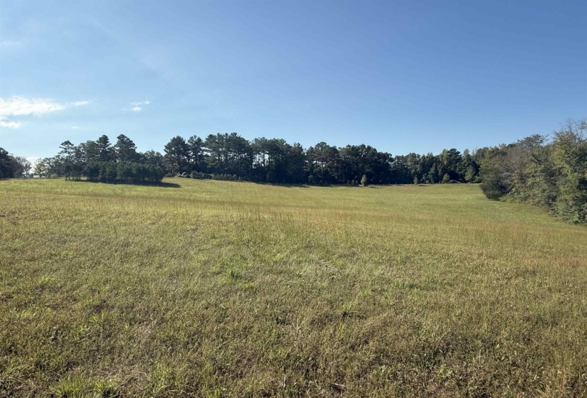 000 BURGESS LOOP RD, Middleton, Tennessee 38052, ,Land,For Sale,BURGESS LOOP,10212654