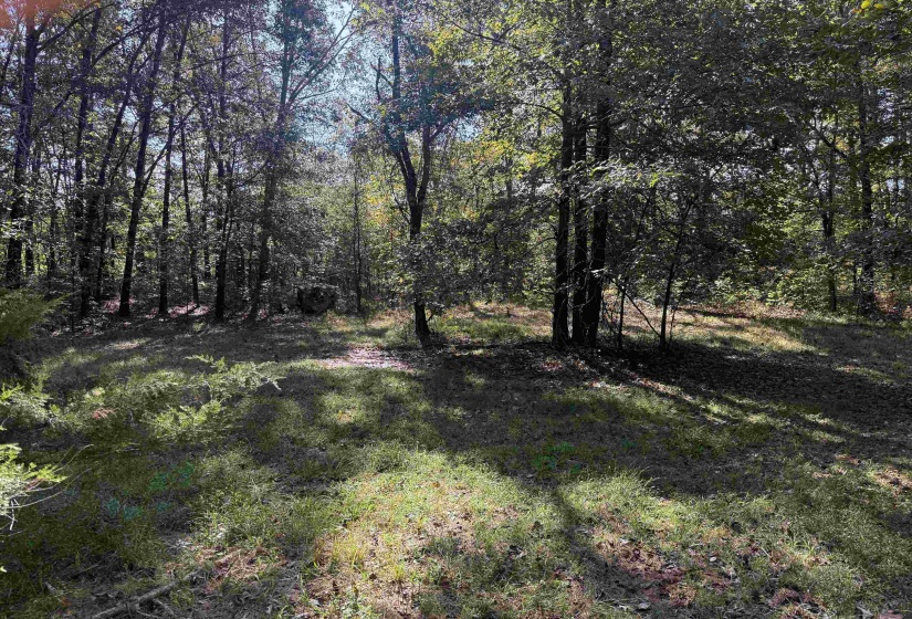 000 BURGESS LOOP RD, Middleton, Tennessee 38052, ,Land,For Sale,BURGESS LOOP,10212654