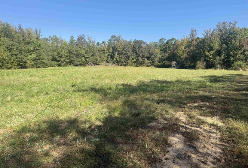 000 BURGESS LOOP RD, Middleton, Tennessee 38052, ,Land,For Sale,BURGESS LOOP,10212654