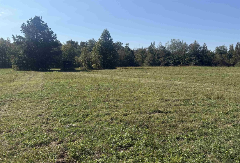 000 BURGESS LOOP RD, Middleton, Tennessee 38052, ,Land,For Sale,BURGESS LOOP,10212654