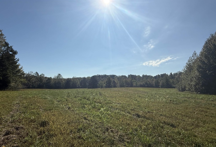 000 BURGESS LOOP RD, Middleton, Tennessee 38052, ,Land,For Sale,BURGESS LOOP,10212654