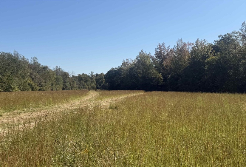 000 BURGESS LOOP RD, Middleton, Tennessee 38052, ,Land,For Sale,BURGESS LOOP,10212654