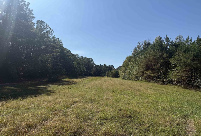 000 BURGESS LOOP RD, Middleton, Tennessee 38052, ,Land,For Sale,BURGESS LOOP,10212654