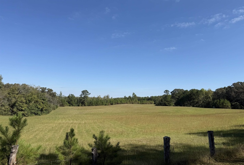 000 BURGESS LOOP RD, Middleton, Tennessee 38052, ,Land,For Sale,BURGESS LOOP,10212654