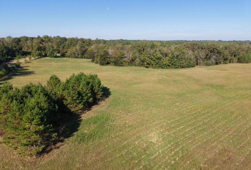 000 BURGESS LOOP RD, Middleton, Tennessee 38052, ,Land,For Sale,BURGESS LOOP,10212654