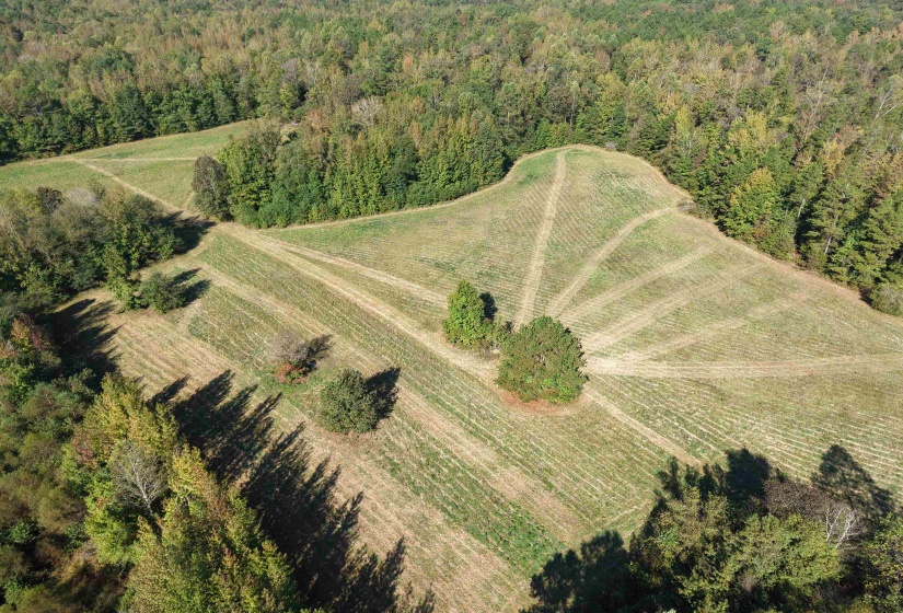 000 BURGESS LOOP RD, Middleton, Tennessee 38052, ,Land,For Sale,BURGESS LOOP,10212654