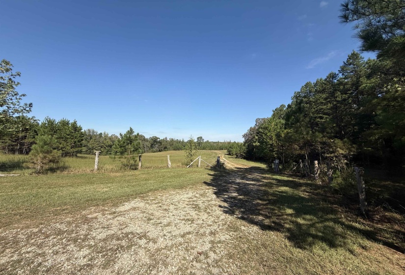 000 BURGESS LOOP RD, Middleton, Tennessee 38052, ,Land,For Sale,BURGESS LOOP,10212654