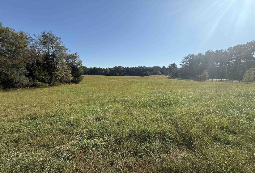 000 BURGESS LOOP RD, Middleton, Tennessee 38052, ,Land,For Sale,BURGESS LOOP,10212654