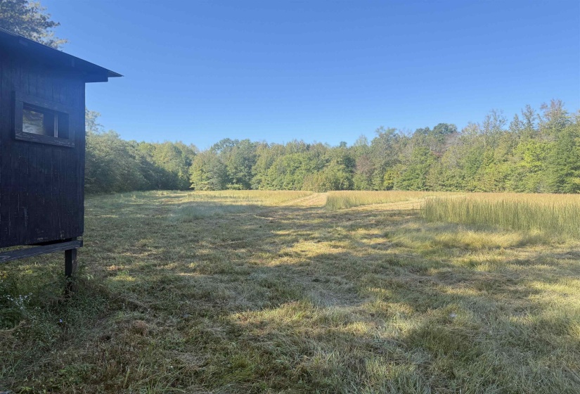 000 BURGESS LOOP RD, Middleton, Tennessee 38052, ,Land,For Sale,BURGESS LOOP,10212654